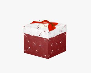 فروش عمده جعبه کادو